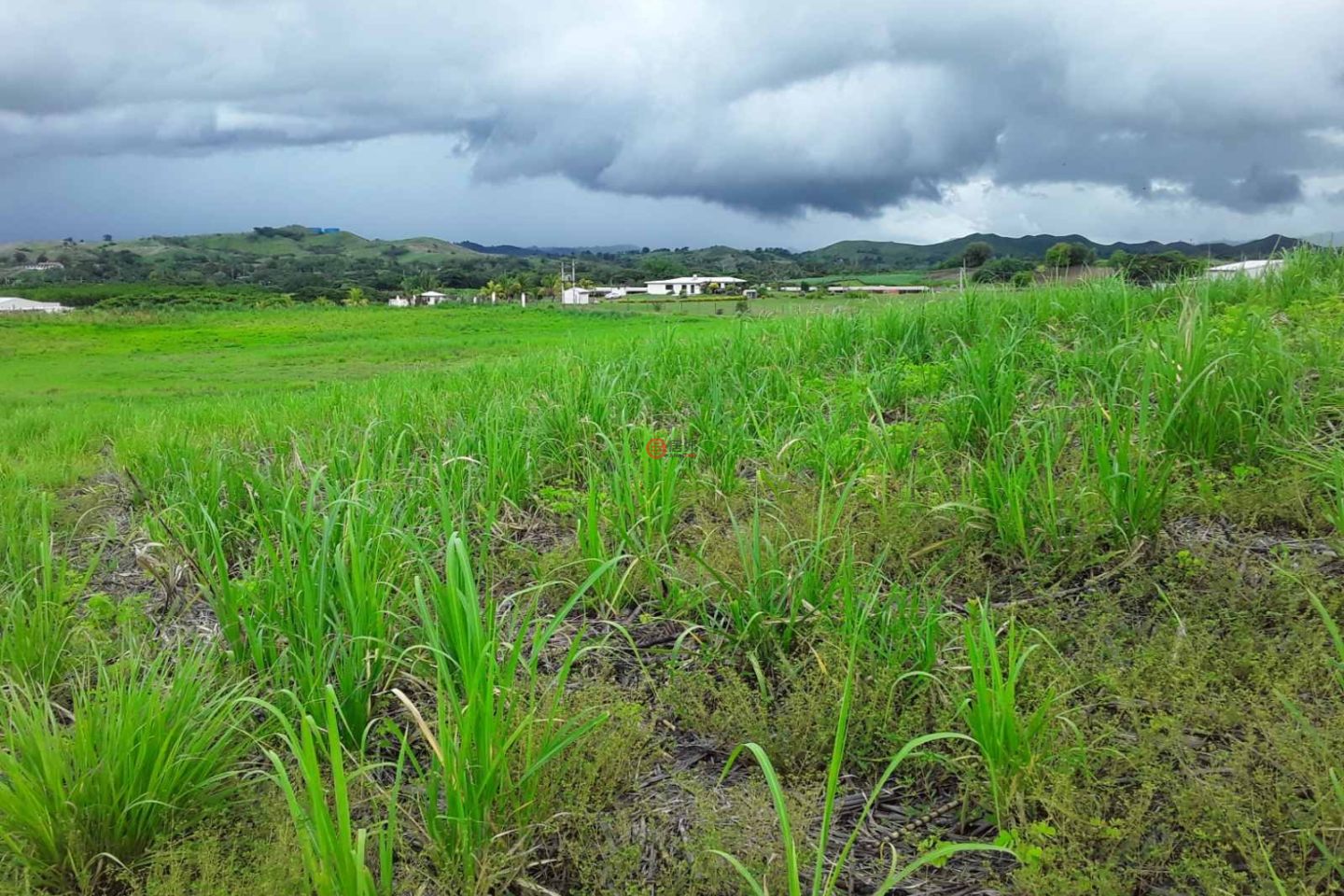 斐济NadiNadi的商业用地，Uciwai rd，编号68055581