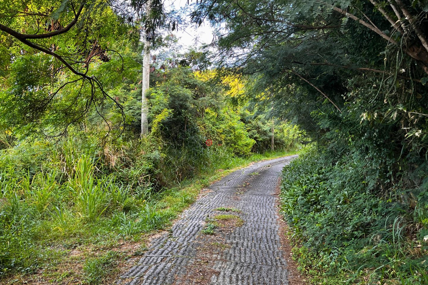 英属维尔京群岛的住宅用地，Havers St John View，编号76872562