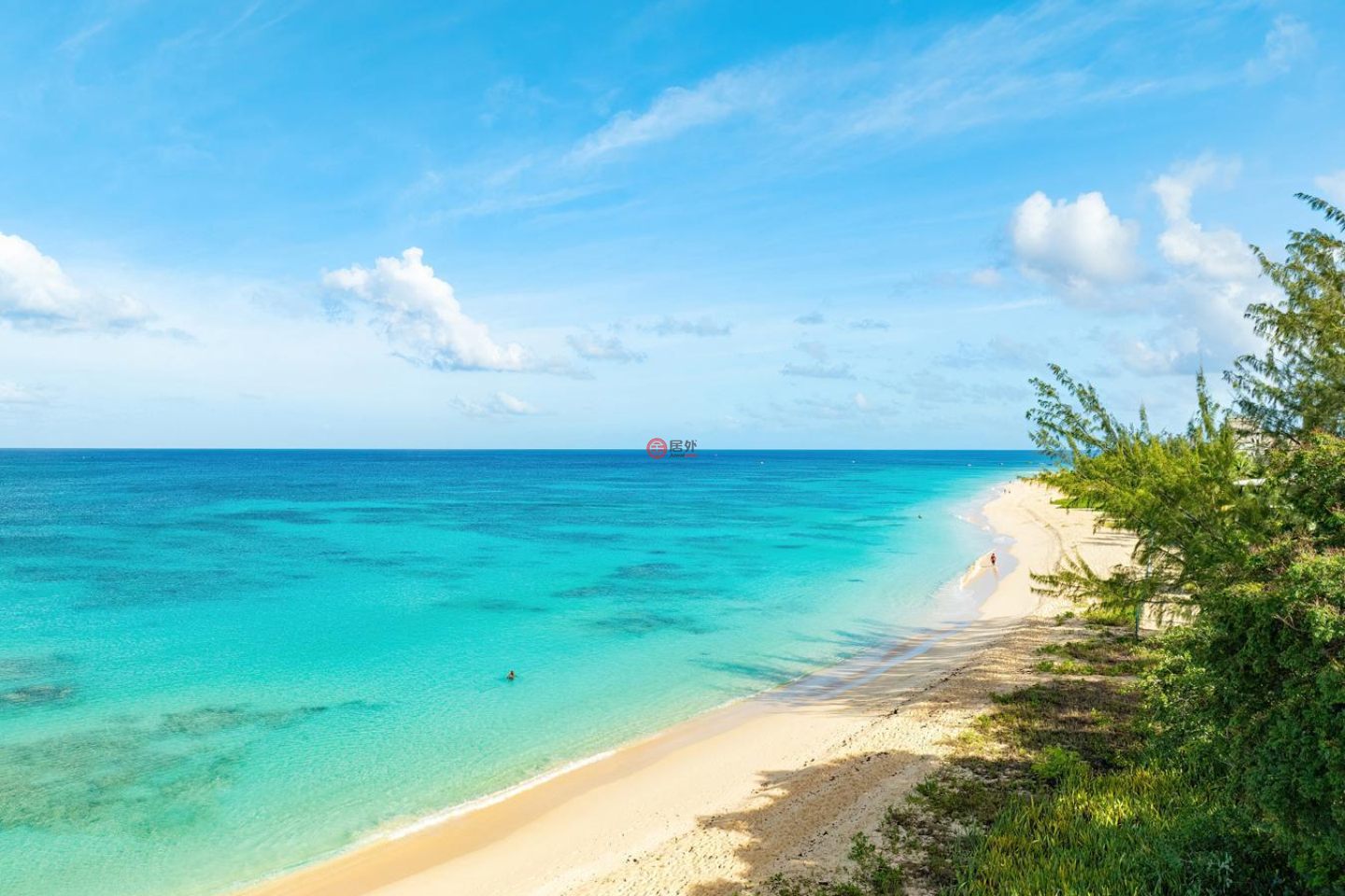 巴巴多斯圣迈克尔橋鎮的公寓,Brighton,编号78517174