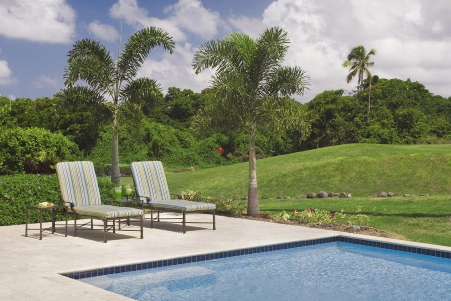 圣克里斯托弗和尼维斯岛NevisSt. Thomas Lowland的独栋别墅，Nevisian Retreat Palm Grove Villa 1437，编号77810516