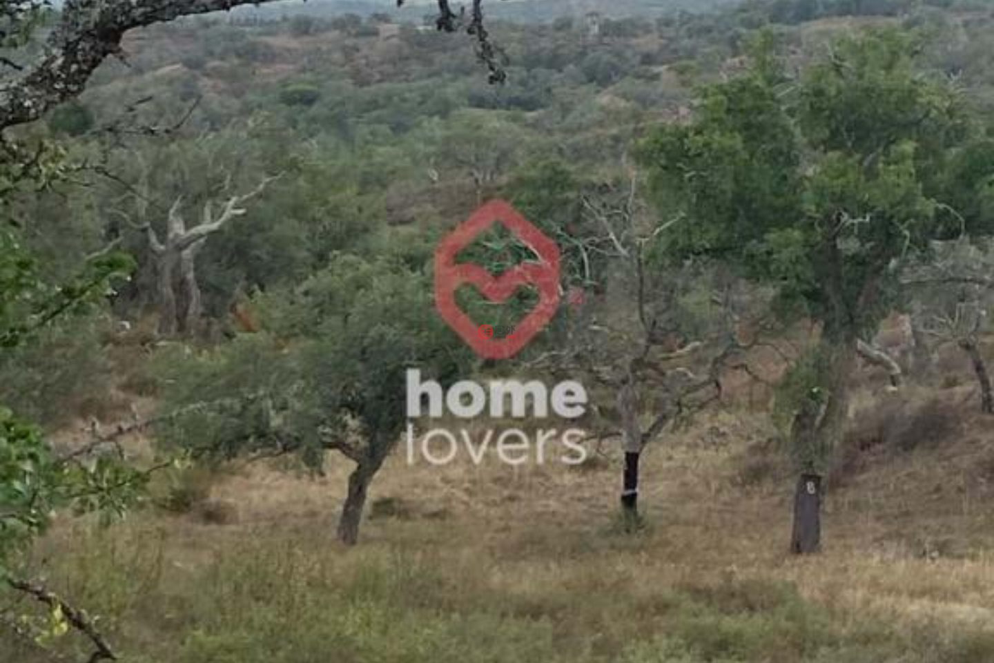 葡萄牙Santiago do Cacém的农业用地,编号78519640