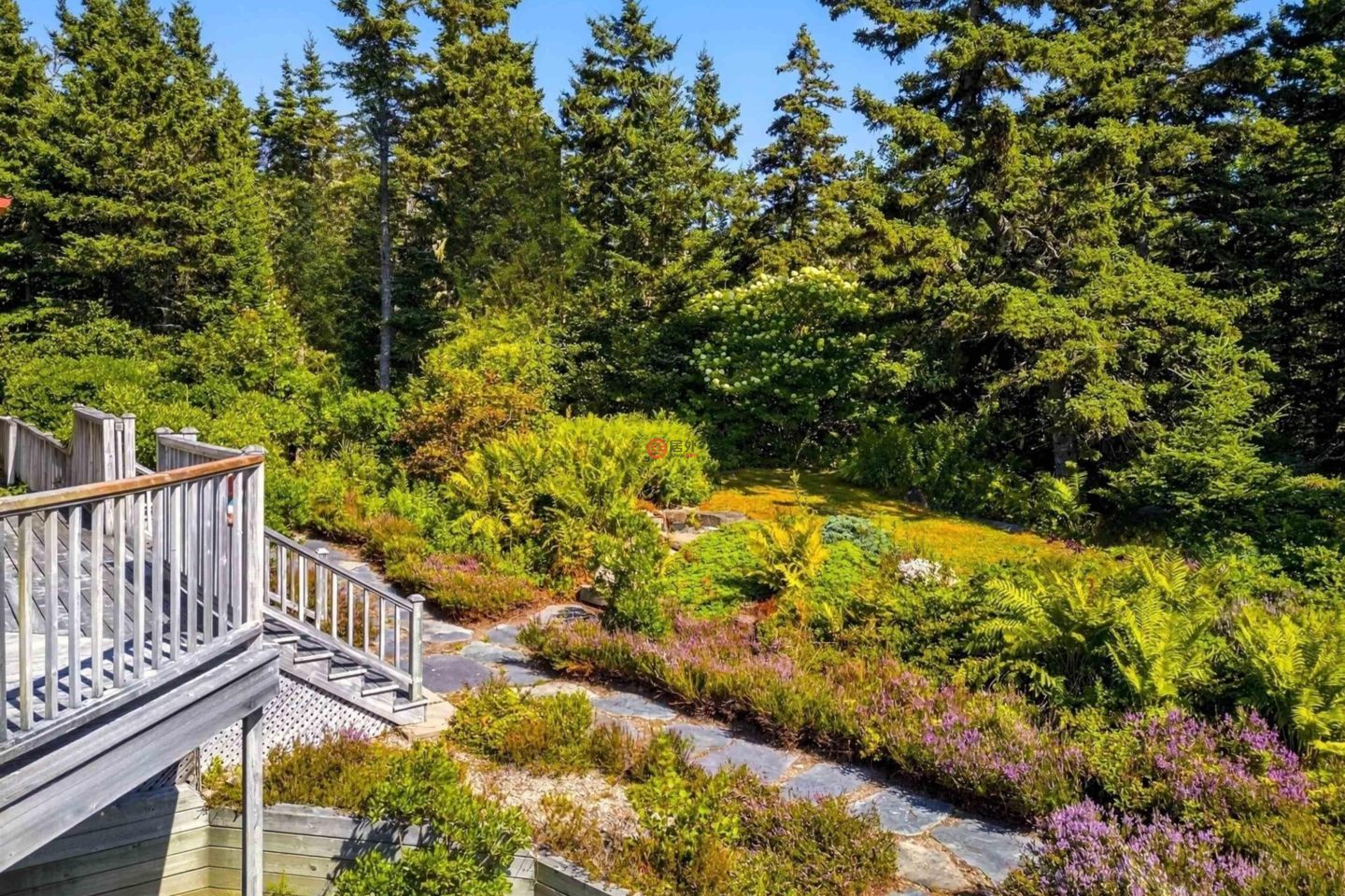 加拿大新斯科舍省Western Head的公寓，20 Pierce Point，编号78525403