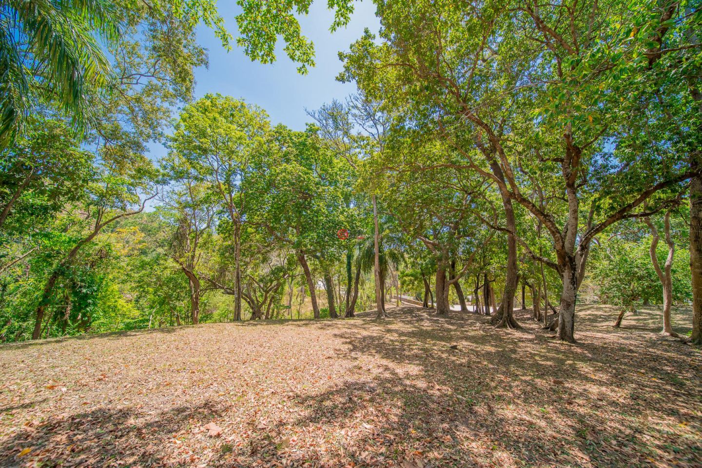 洪都拉斯海湾群岛Roatán的住宅用地，Lot 35 in the Prestigious Lawson Rock，编号76794716