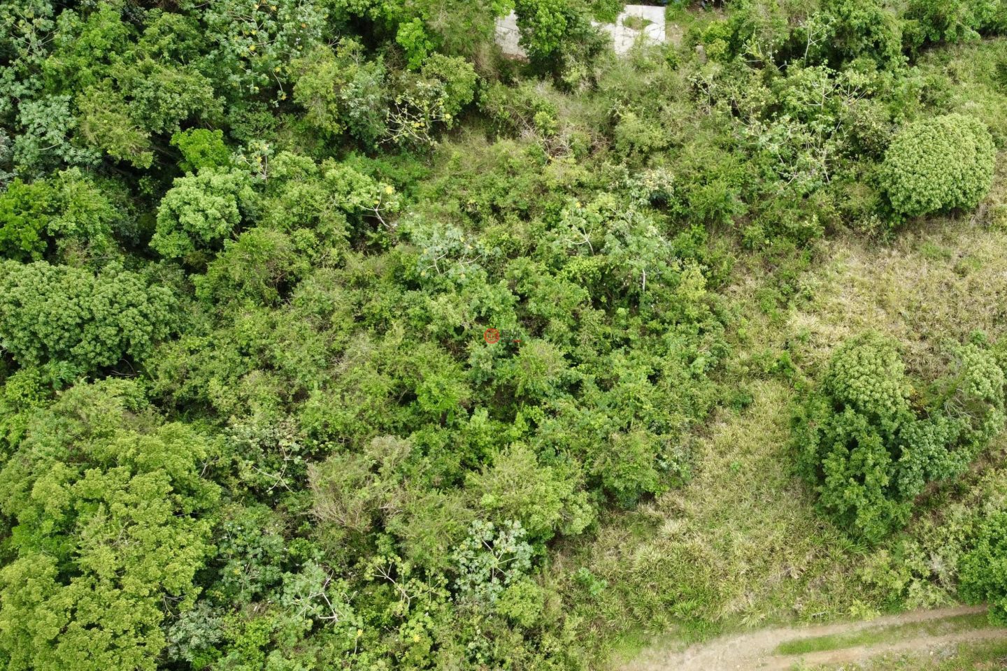 英属维尔京群岛的住宅用地，Cane Garden Mountain View，编号77642337