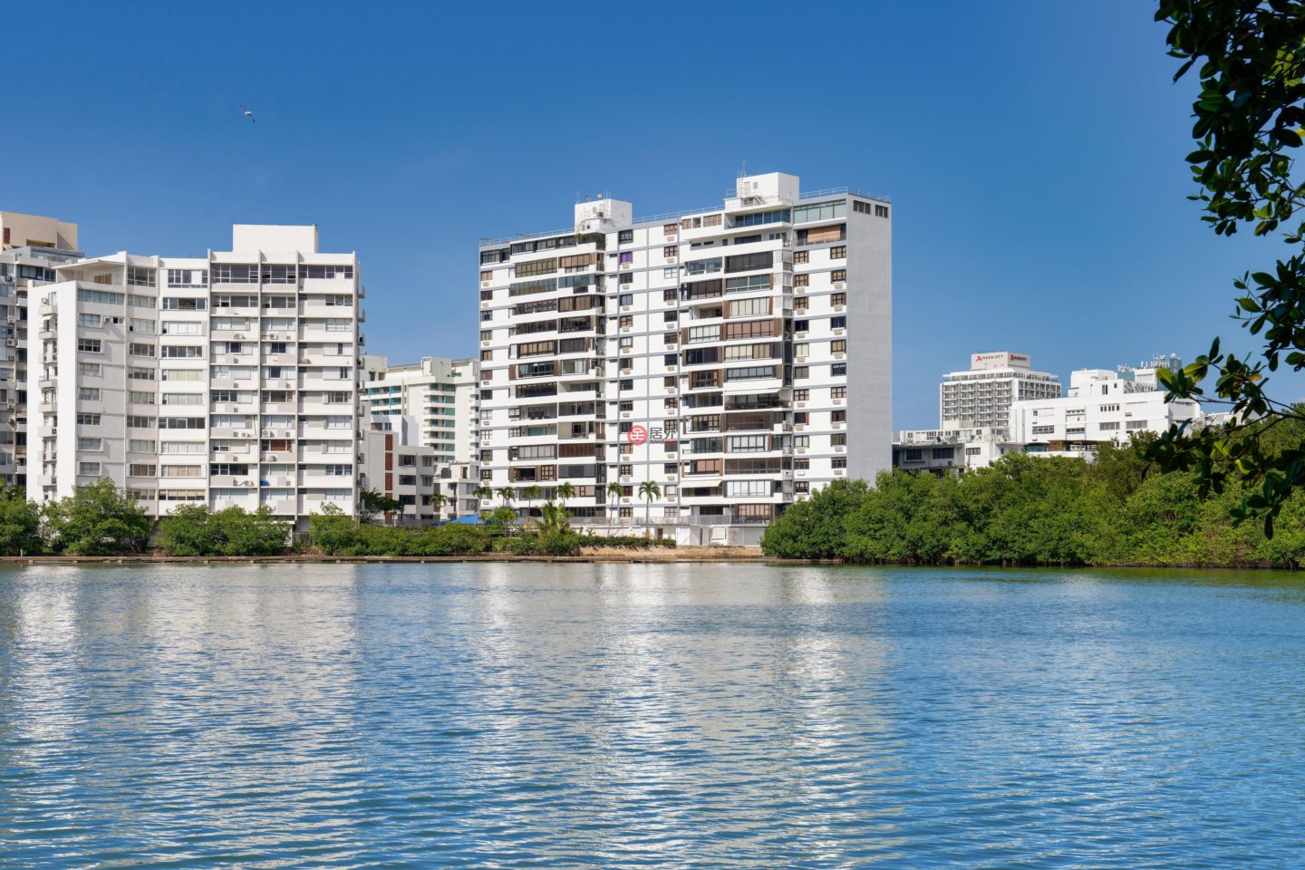 波多黎各Puerto RicoSan Juan的公寓，20 Delcasse St. Apt. 401，编号78456956