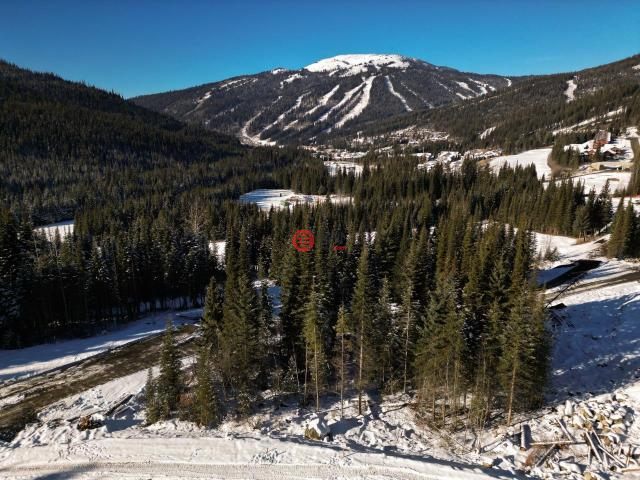 加拿大不列颠哥伦比亚省Sun Peaks的公寓,LOT 7 MCGILLIVRAY LAKE,编号75520857