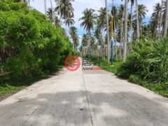 菲律宾Mimaropa普林塞薩港的农场，SITIO KAMUNING，编号70111967