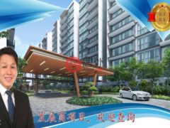新加坡SingaporeSingapore的公寓，Tampines street 11，编号53170137