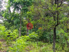 尼加拉瓜Masaya DepartmentMasaya的住宅用地，Finca de Frutas Niquinomo，编号71148301