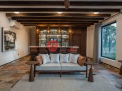 墨西哥瓜纳华托圣米格尔德阿连德的独栋别墅，Casa #8 Vinedos San Lucas，编号74515638