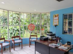 尼加拉瓜Masaya DepartmentMasaya的农场，Chicken Farm, Masatepe，编号71109579