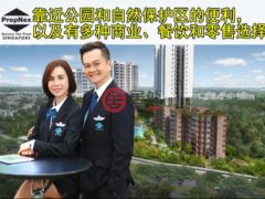新加坡东北地区新加坡的公寓，31 Lentor Hills Road，编号74063998