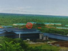 马来西亚沙巴博福特的农业用地，7,137.48 acres of Oil Palm plantation，编号70591582