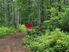 美国威斯康星州Tipler的住宅用地，None TBD Dream Lake Rd Lot 3，编号77643230