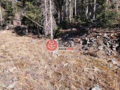 美国新墨西哥州Taos Ski Valley的农业用地，Lot 1A Snowshoe Road，编号62130233