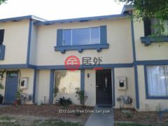 美国加州圣何塞的联排别墅，3572 Gum Tree DR，编号56995186