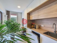捷克Špindlerův Mlýn的公寓，Bedrichov 101，编号78162258