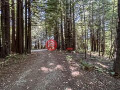 美国加州The Sea Ranch的住宅用地，42180 Deer Trail，编号70037549