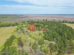 美国北卡罗莱纳州Knotts Island的农业用地，Lot C Whitehurst，编号77675883