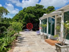 巴哈马Rock Sound的独栋别墅，Thatch Tree House Oleander Drive，编号78396361