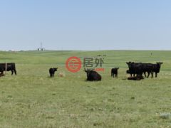 美国科罗拉多州阿克伦的农业用地，None 18755 Hwy 36，编号62535012