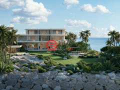 阿联酋迪拜迪拜的独栋别墅，Asora Bay La Mer Jumeirah，编号77348082