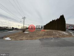 美国特拉华州Smyrna的农业用地，258 S Dupont Boulevard，编号76679892