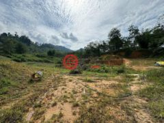 马来西亚彭亨Bentong的农业用地，4.6 Acres of Land in Janda Baik Bentong Pahang，编号78044451