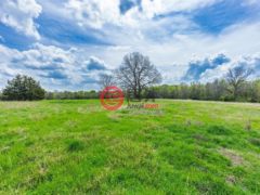 美国德克萨斯州洛恩奥克的住宅用地，None Lot 9 County Road 3401，编号77606324