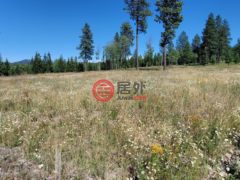 美国爱达荷州Plummer的农业用地，Hwy 95 Lot 6，编号77895921
