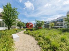比利时BrusselsMolenbeek-Saint-Jean的公寓，编号77749859