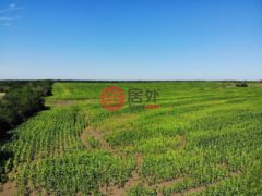 美国德克萨斯州Mertens的住宅用地，4451 S FM 308，编号76615106