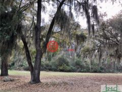 美国佐治亚州米德韦的住宅用地，None Lot 87 Oyster Point Drive，编号58068949