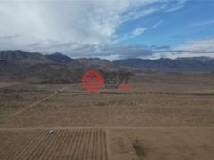 美国亚利桑那州金曼的农场，None 00 E Mountain Meadow Road，编号77774423