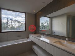 智利SantiagoSantiago的公寓，Charles Hamilton 162246，编号45498976