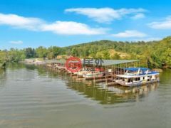 美国田纳西州金斯顿的商业转让，None 1060 Paint Rock Ferry Road，编号78156740
