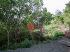 英属维尔京群岛的住宅用地，Belmont Beach Walk Land Upper Lot，编号76210489