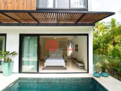 多明尼加萨马纳Las Terrenas的独栋别墅，Calle Salome Ureña，编号78300314