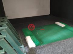 美国佛蒙特州兰多夫的公寓，None 6 Park Street，编号77774727