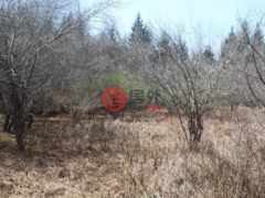 美国纽约州斯万莱克的住宅用地，None 927-943 Briscoe Road，编号77678491