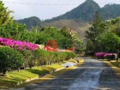 巴拿马科克莱El Valle的公寓，None El Valle de Antón Provincia de Coclé Panamá，编号74659323