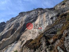 美国加州Gazelle的公寓，None 6409 Kangaroo Creek Rd.，编号77848966