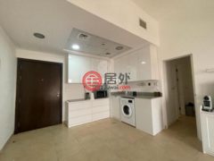 阿联酋迪拜Remraam的公寓，Al Thamam 41，编号65200650