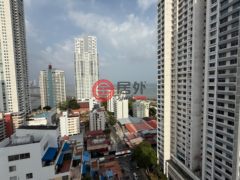 巴拿马巴拿马城巴拿马城的公寓，编号77871062