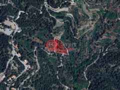 塞浦路斯利马索尔Pelendri的住宅用地，编号77086757