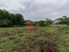 哥斯达黎加Nosara的住宅用地，Playa Pelada Nosara，编号78125108