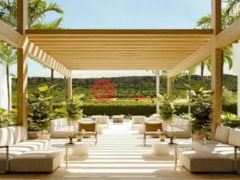 多明尼加La Altagracia ProvincePunta Cana的公寓，Punta Cana，编号78029100