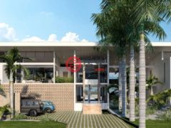 多明尼加La Altagracia ProvincePunta Cana的公寓，Punta Cana，编号78029100