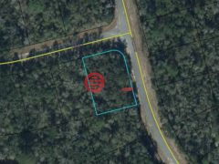美国佛罗里达州奇普利的住宅用地，None Lot 37 Diane Place，编号77562099
