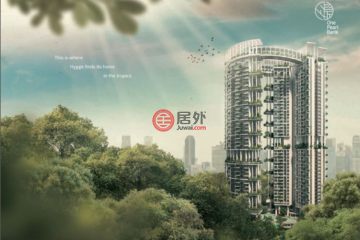从中国大妈泰国 斗地主 看海外各国禁忌 居外网